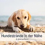 Ramoshansenhof Hofglueck 4pers Mit Hund