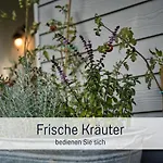 Ramoshansenhof Hofglueck 4pers Mit Hund *