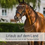 Ramoshansenhof Hofglueck 4pers Mit Hund * Steinberg (Schleswig-Holstein)