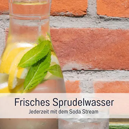 Ramoshansenhof Hofglueck 4pers Mit Hund ساينبرغ