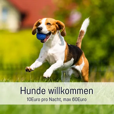 Ramoshansenhof Hofglueck 4pers Mit Hund ساينبرغ