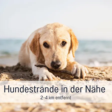 Ramoshansenhof Hofglueck 4pers Mit Hund