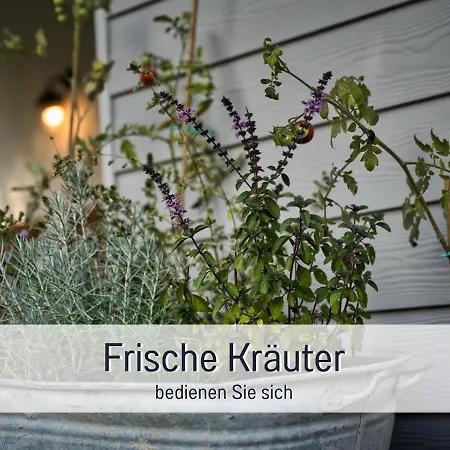 Ramoshansenhof Hofglueck 4pers Mit Hund *