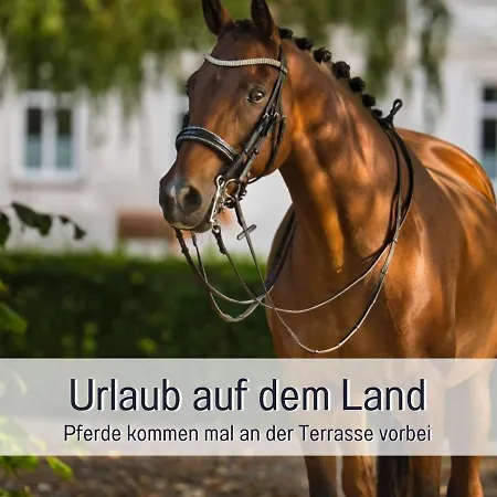 Ramoshansenhof Hofglueck 4pers Mit Hund * Steinberg (Schleswig-Holstein)